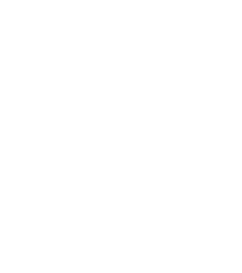 DubSEO Footer Logo